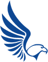 Eagle Eye Ltd Logo