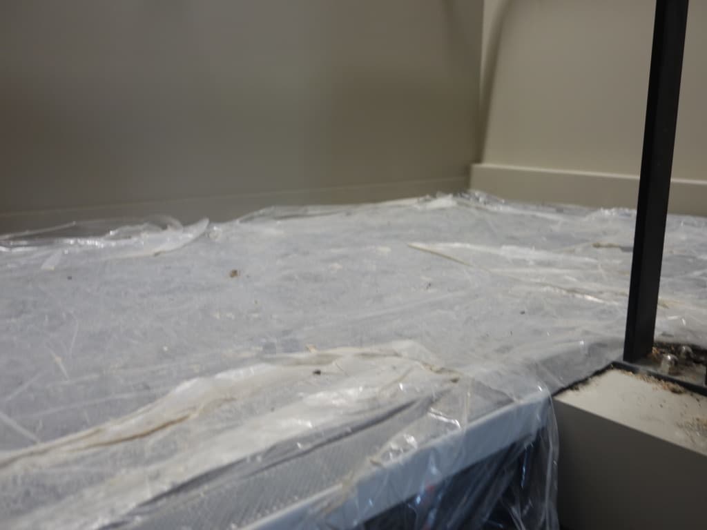 Cleaning service 4